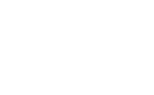 キャリア募集要項
